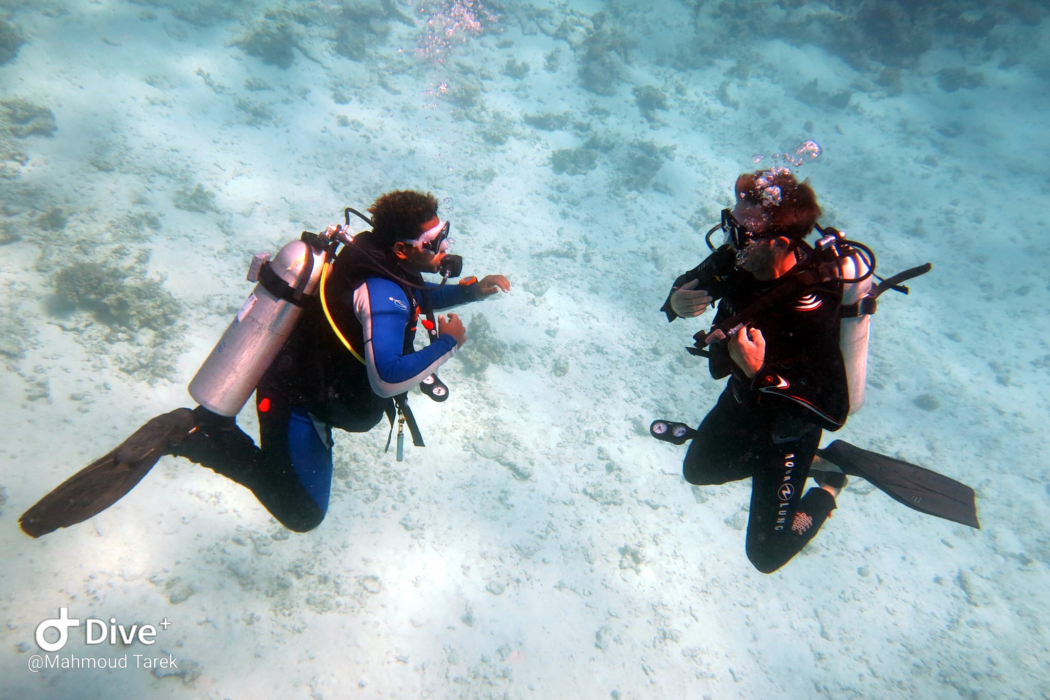 Abu Soma PADI Dive Centre, Soma Bay