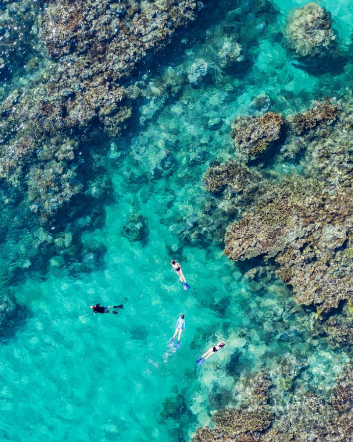 North Madagascar dive holidays