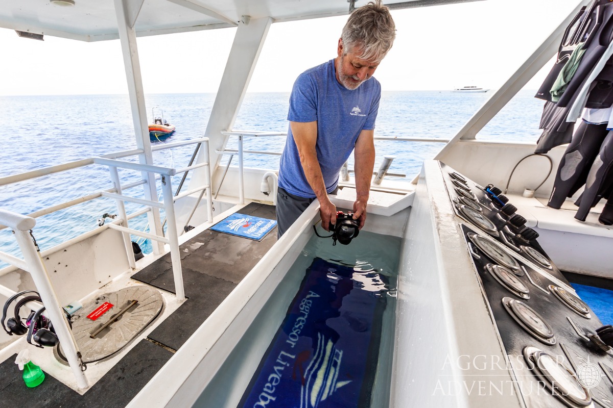Turks and Caicos Aggressor II, Turks and Caicos - liveaboard diving holidays