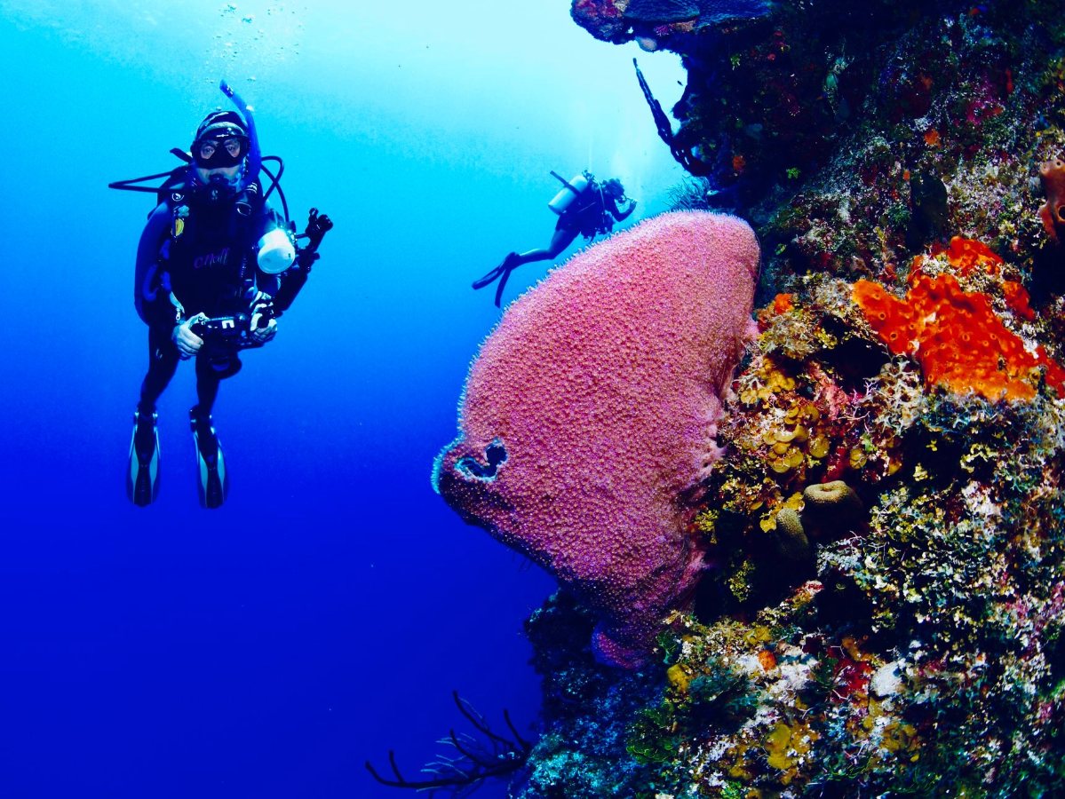 Little Cayman Beach Resort, Little Cayman - dive holidays