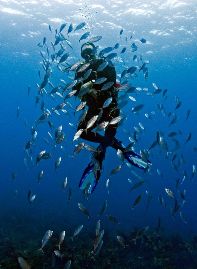 Little Cayman Beach Resort, Little Cayman - dive holidays