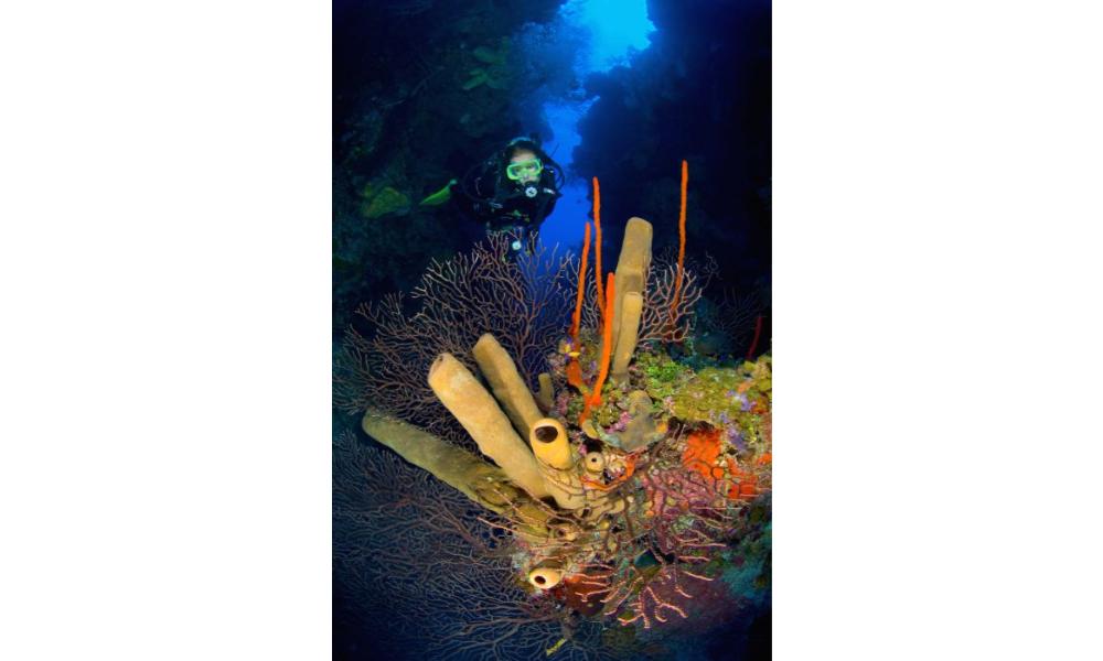 East End Dive Centre, Caymans Islands
