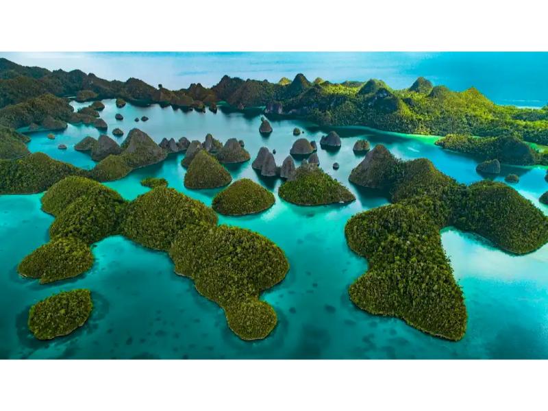 Scuba Spa Zen, Indonesia - liveaboard diving holidays