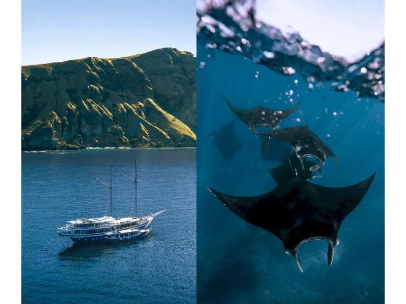 Scuba Spa Zen, Indonesia - liveaboard diving holidays