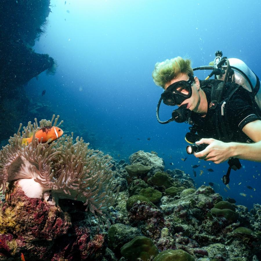 Komandoo Island Resort, Maldives - dive holidays