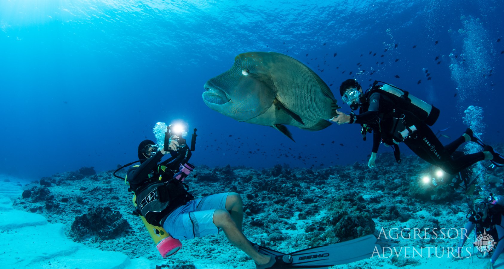 Palau Aggressor II, Palau - liveaboard diving holidays