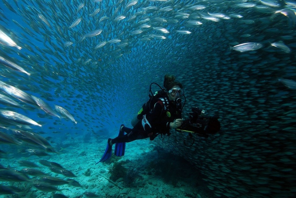 Bonaire dive holidays