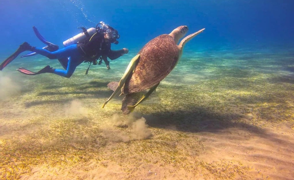 El Gouna dive holidays, Egypt