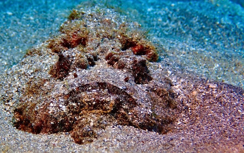 El Gouna dive holidays