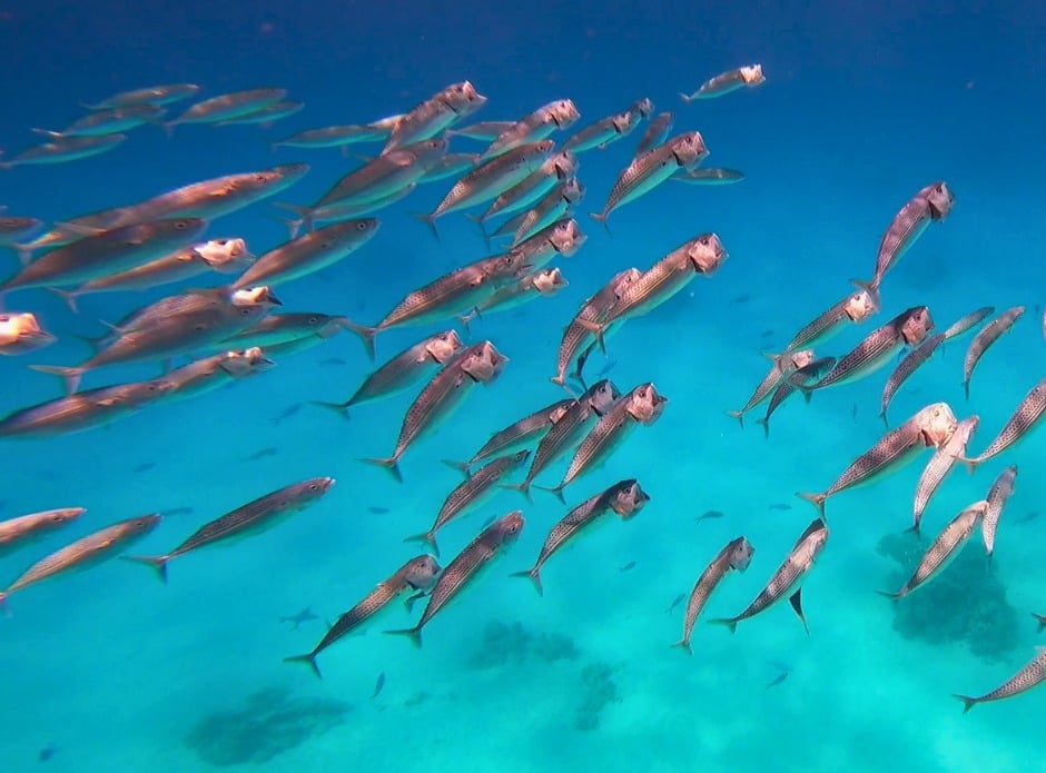 El Gouna dive holidays