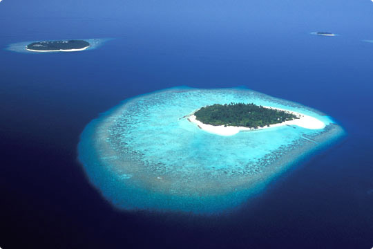 Maldives Island Hopping image