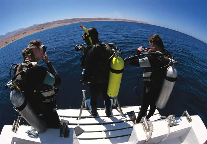 Aqaba dive holidays