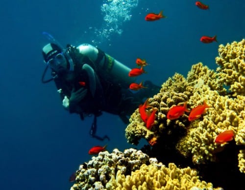 Dive Centre (SHAMS ALAM), Marsa Alam