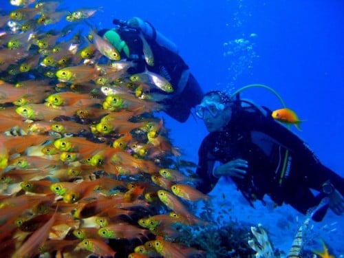 Marsa Alam dive centres, Marsa Alam