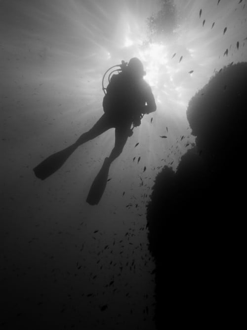 Marsa Alam dive centres, Marsa Alam