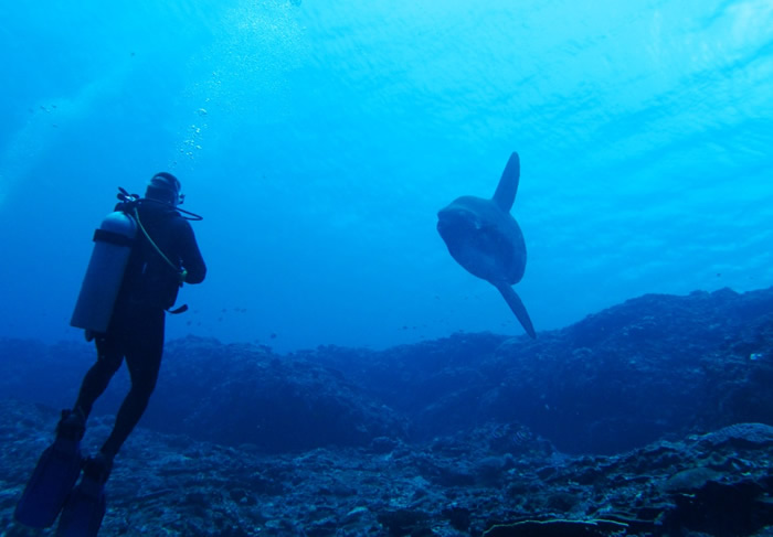 Bali dive centres, Bali